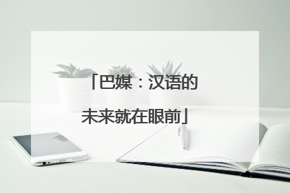 巴媒：汉语的未来就在眼前